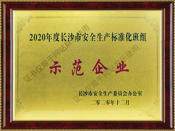 長沙市安全生產標準化班組示范企業