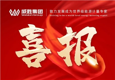 排名第一！威勝集團2024年中標(biāo)國網(wǎng)總部集中招標(biāo)采購項目總金額達5.97億元！